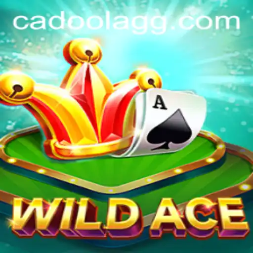 Exploring the Thrilling Universe of WildAce: An In-Depth Guide